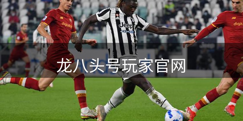 公司使命